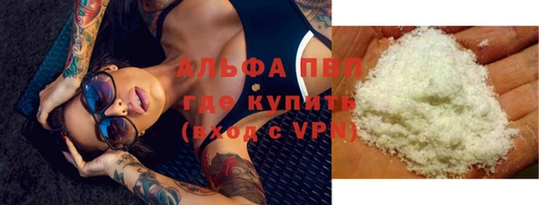 сатива Мегион