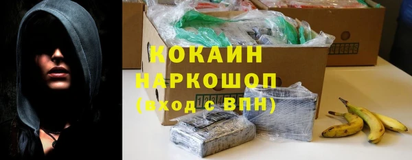сатива Мегион
