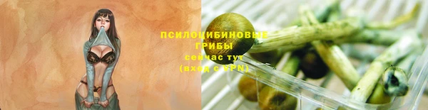 сатива Мегион
