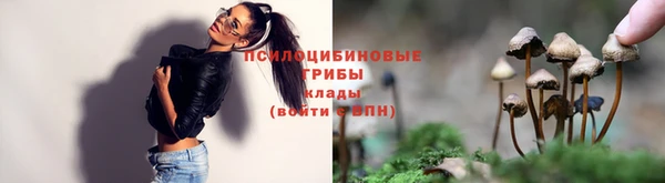 ешки Медногорск