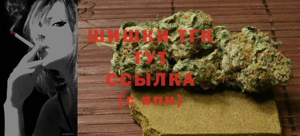 гидра Магас