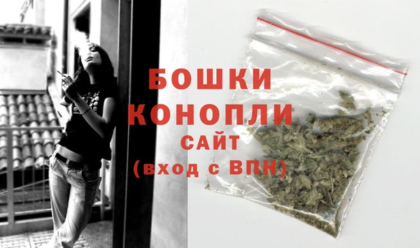 дурь Медвежьегорск