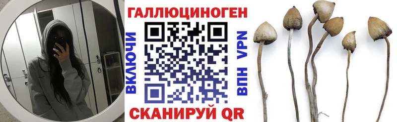 Псилоцибиновые грибы Magic Shrooms  цена   Уфа 