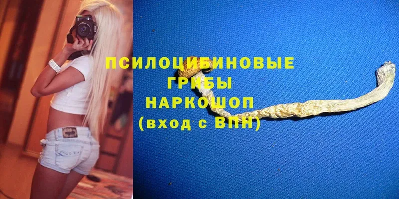 Галлюциногенные грибы Magic Shrooms Уфа