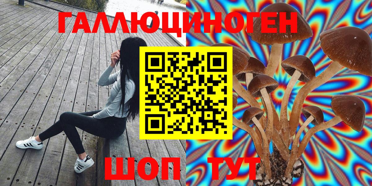Уфа  хочу   Вход с VPN  Галлюциногенные грибы мухоморы 