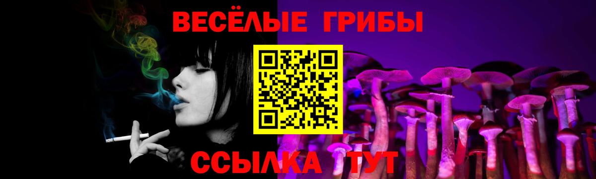 Псилоцибиновые грибы Cubensis Уфа